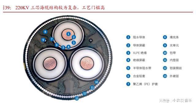 告：国内海风起量在即海外市场蓄势待发尊龙凯时app网站海上风电行业研究报